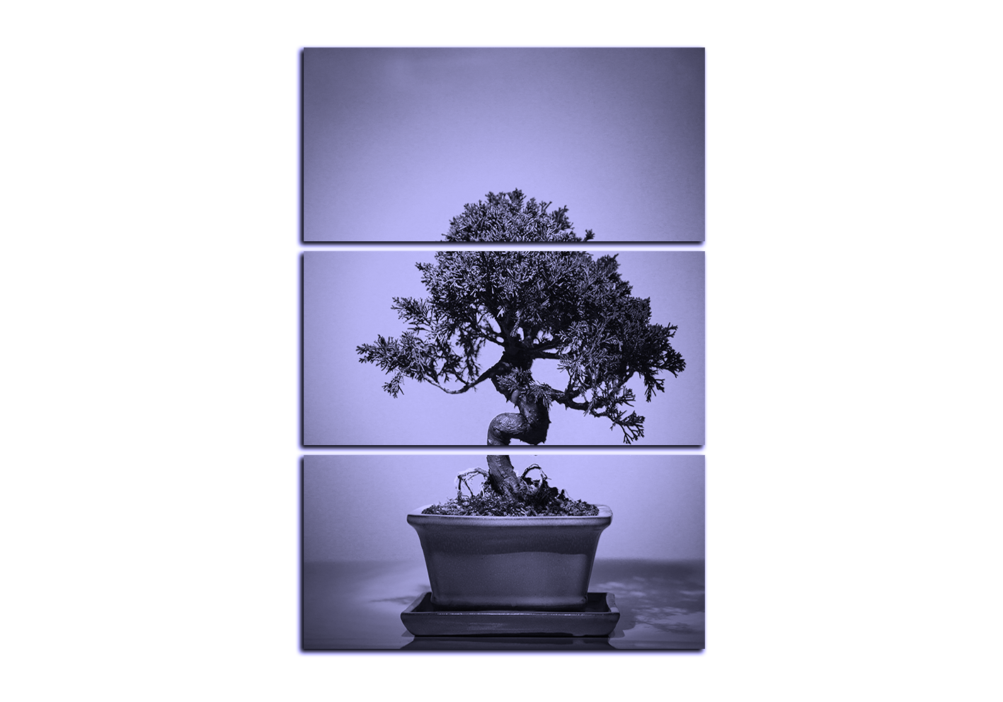 Obraz na plátně - Bonsai - obdélník Obraz na plátně - Bonsai - obdélník